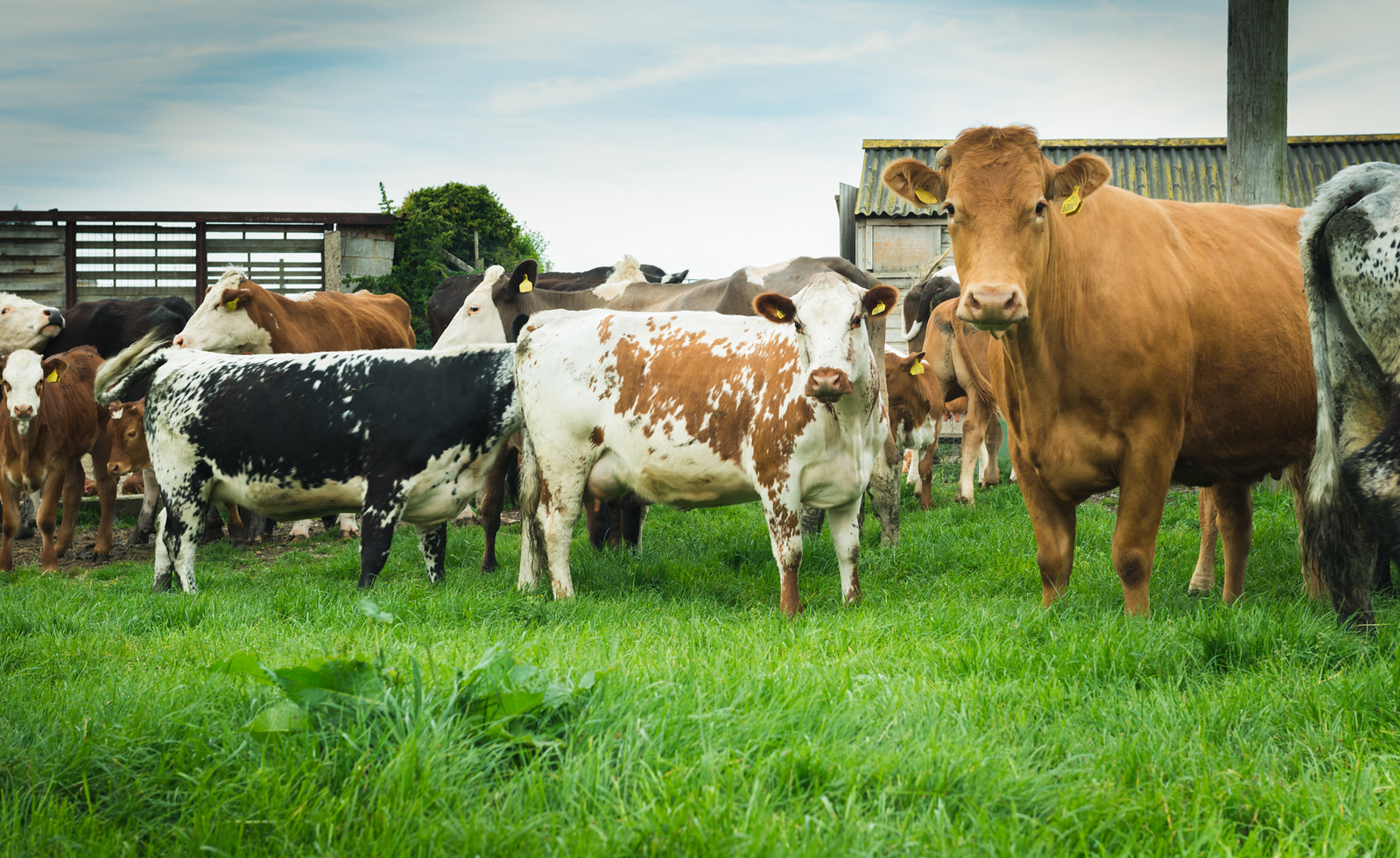 Sustainability at Hawksmoor